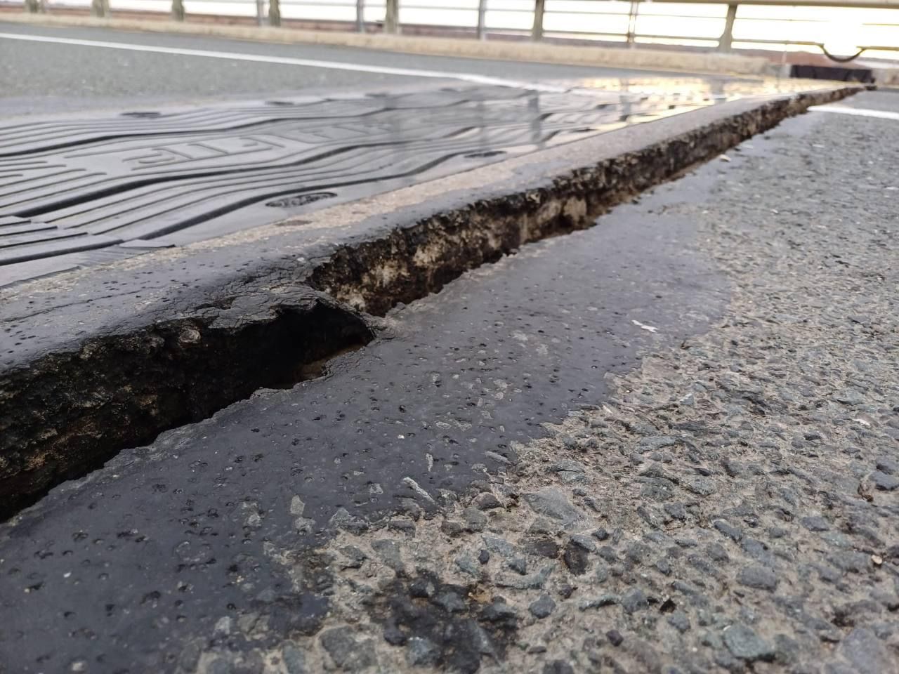 Шошқаның жұптасуы порно